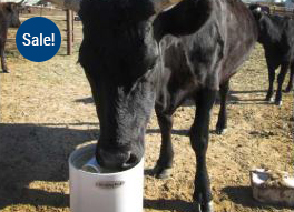 Cattle Auto Waterer