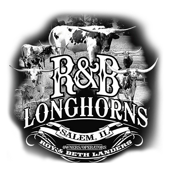 R&B Longhorns Image